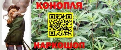 индика Бузулук